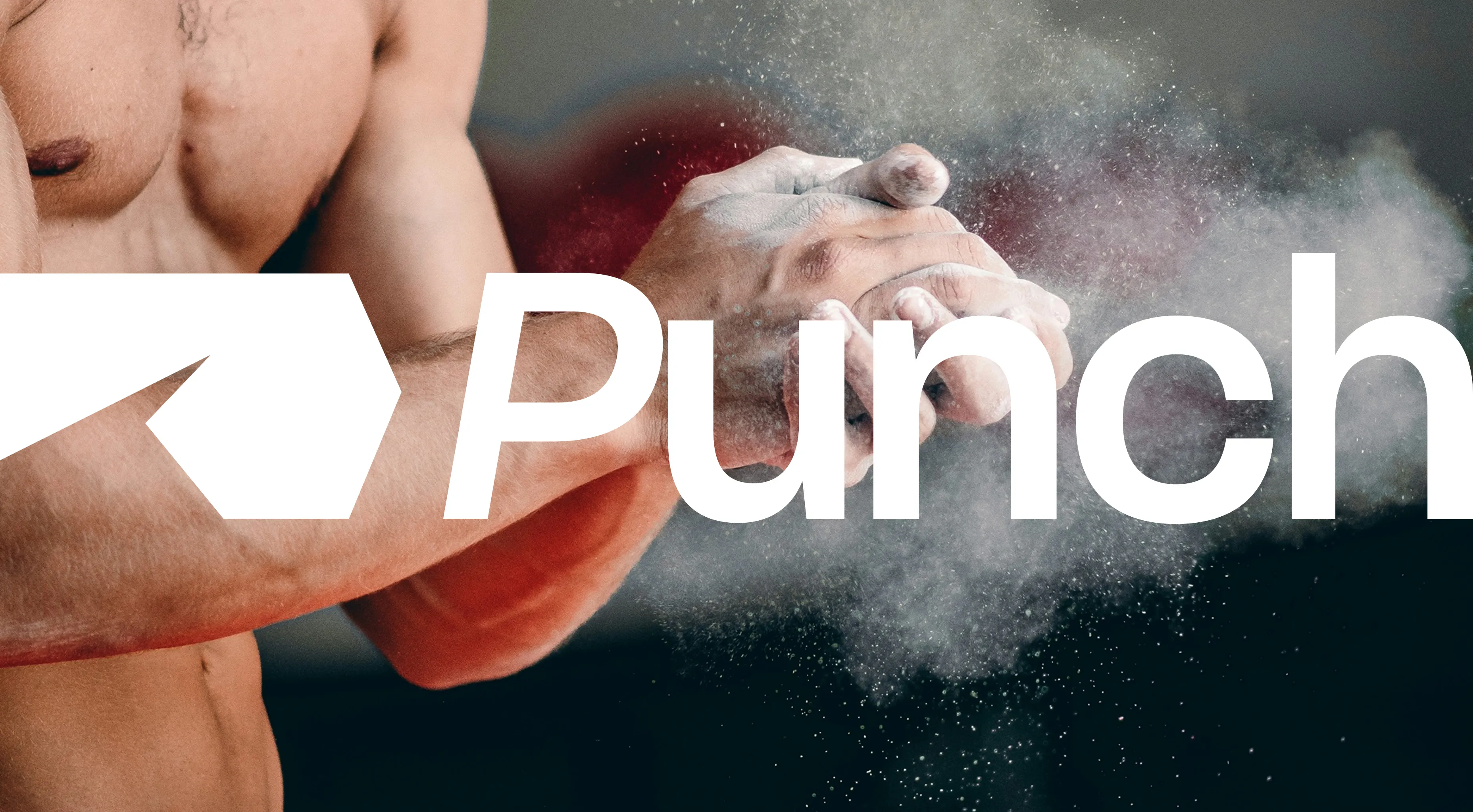 punch-image-3